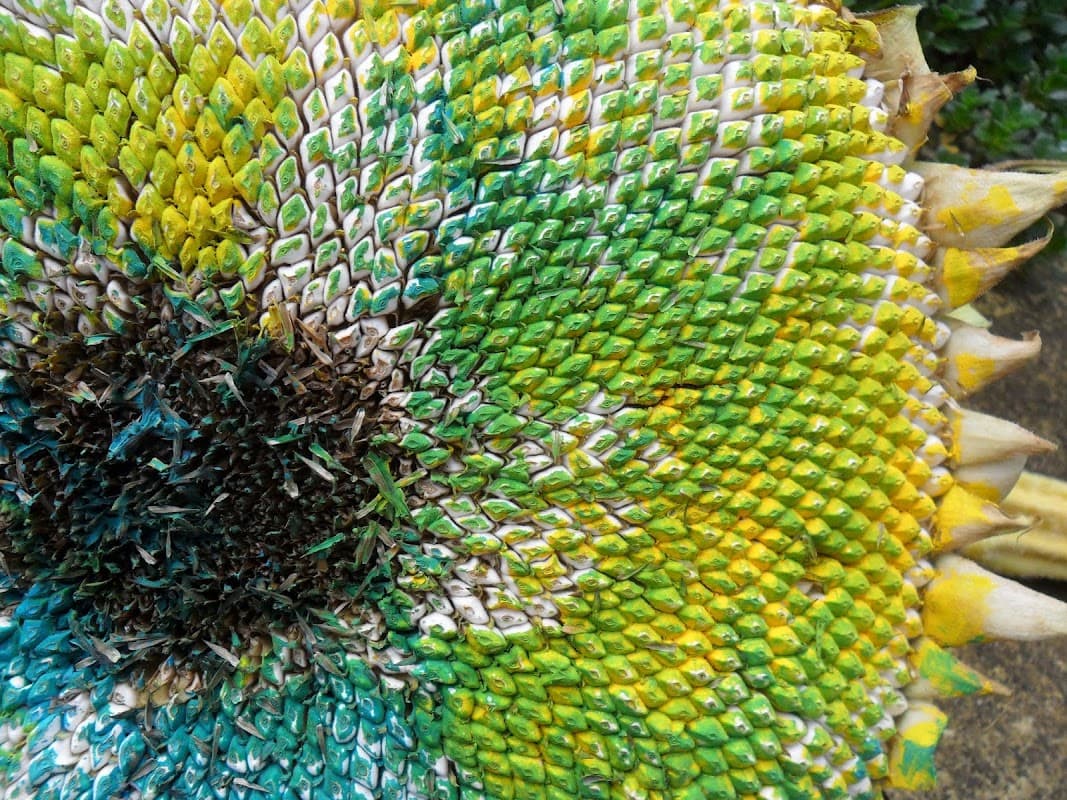 Ilkley Pre-school Playgroup - Nurseries in ilkley