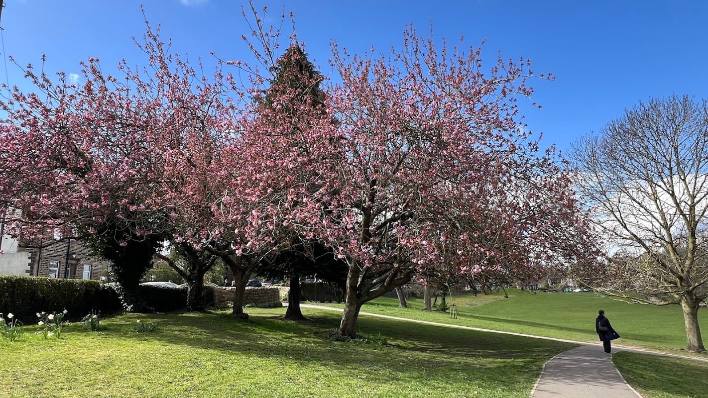 Ilkley Skatepark - Skate Parks in ilkley