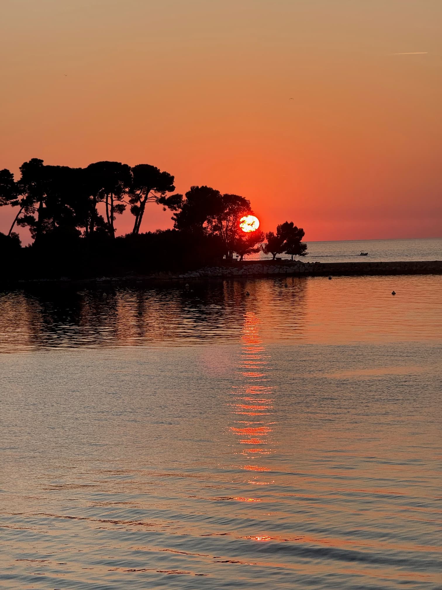 Enjoy Travel - Car Hire in beeston