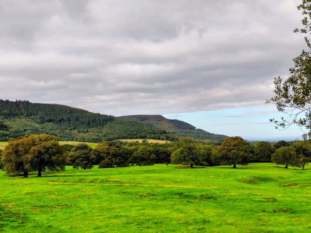 Lush green fields with scattered trees and rolling hills under a cloudy sky in Ingleby Greenhow, Yorkshire.
