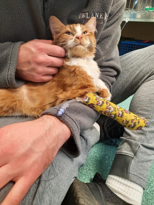 Aireworth Vets - Vets in keighley