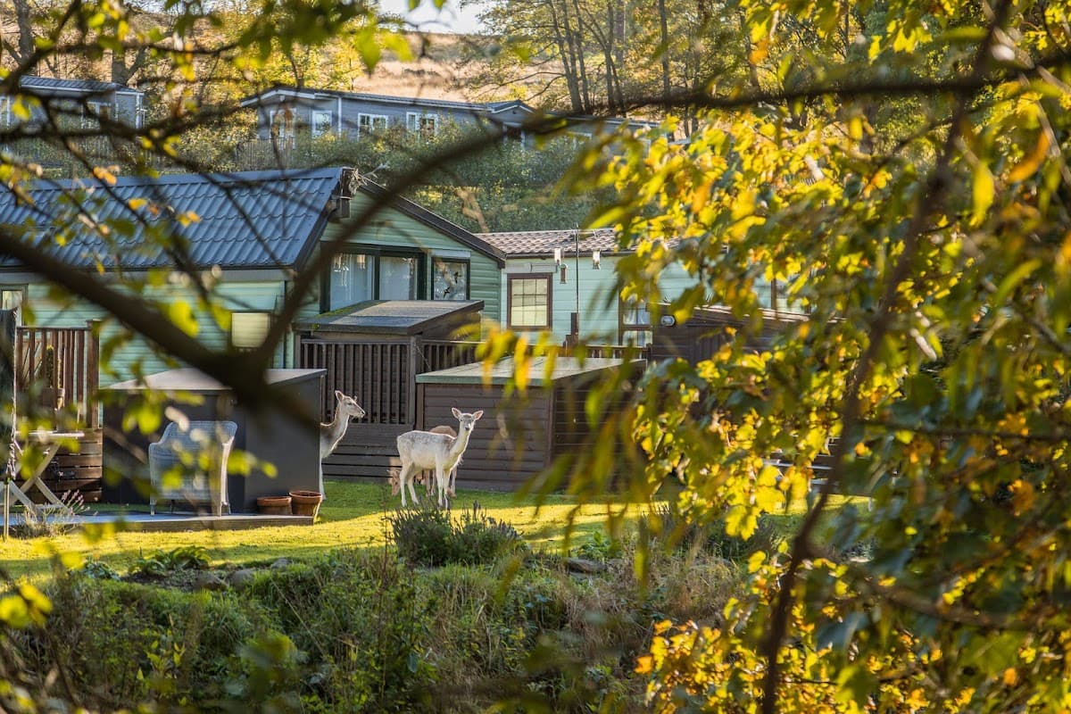 Accommodation at Bronte Country Park - Yorkshire in keighley