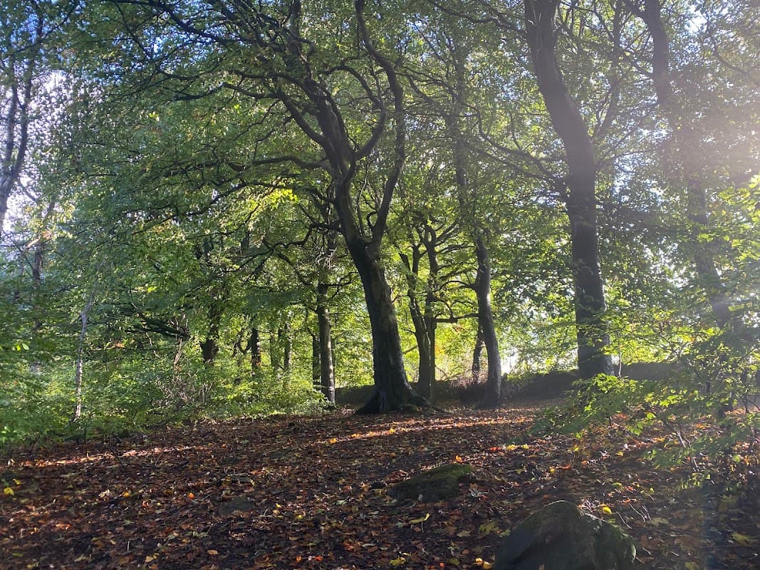 Park Wood - Park in keighley