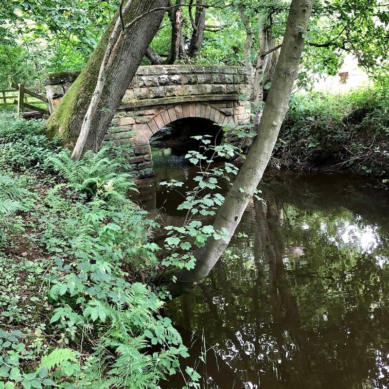 Stone bridge arching over a calm stream, surrounded by lush greenery and trees in Kildale, Yorkshire.