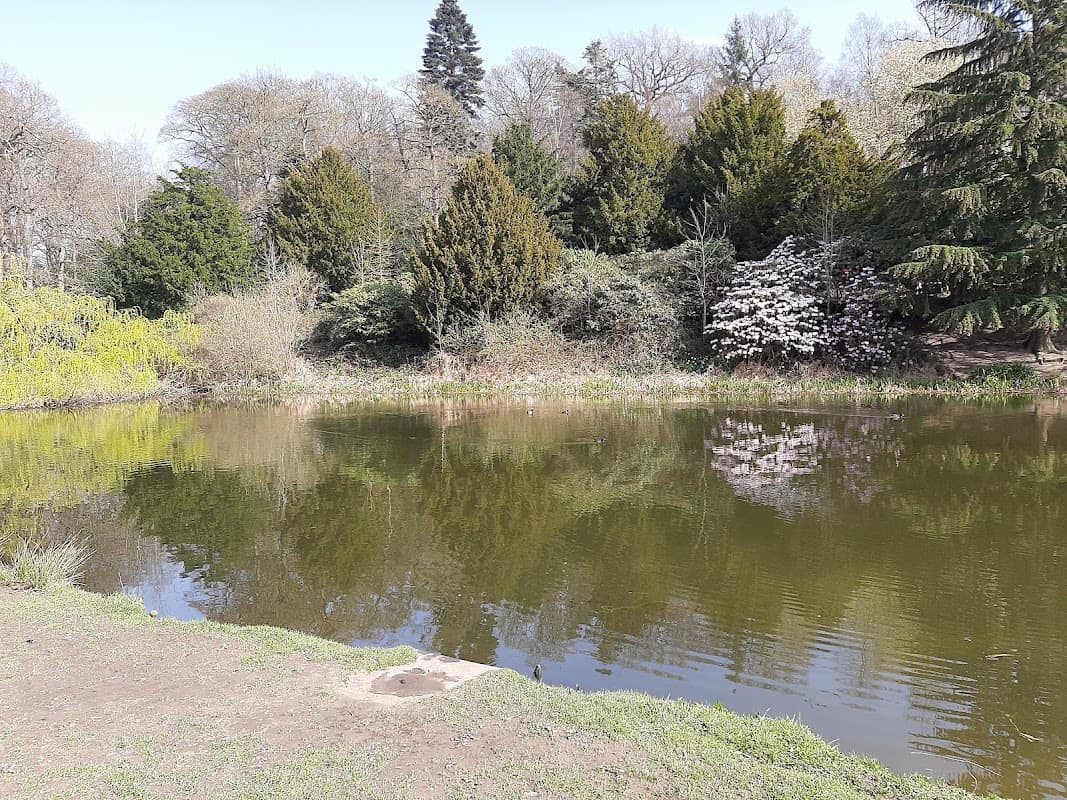 Bus Stop at Gipton Approach C - Bus Stops in killingbeck