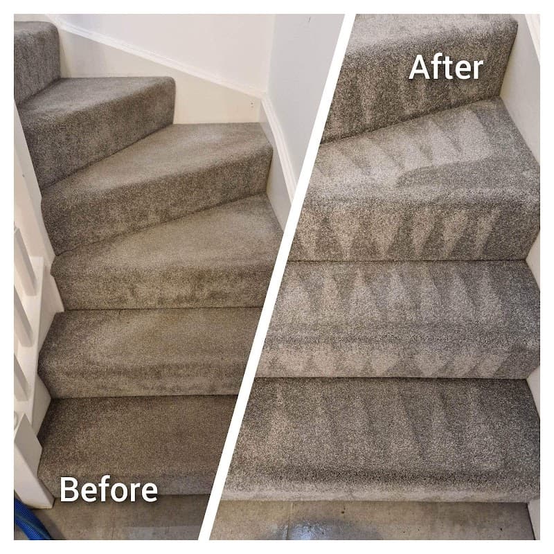 Cleaner Carpets Leeds - Carpet Cleaners in killingbeck