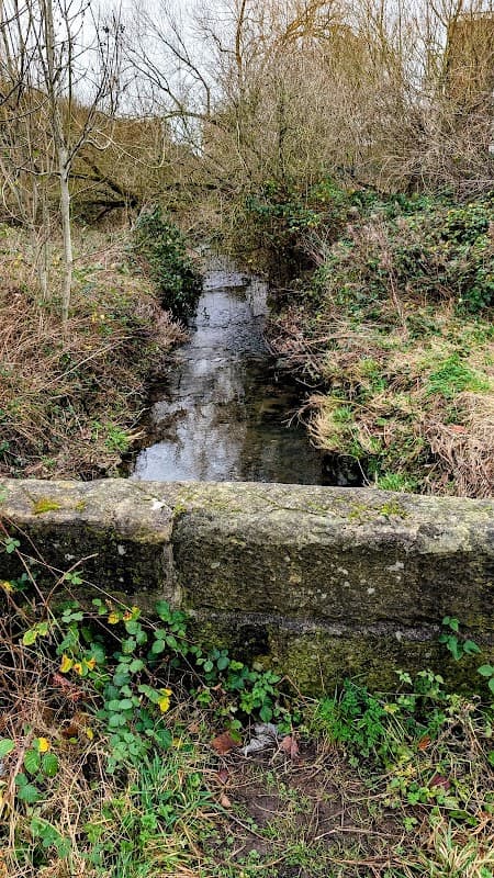Killingbeck fields nature trail