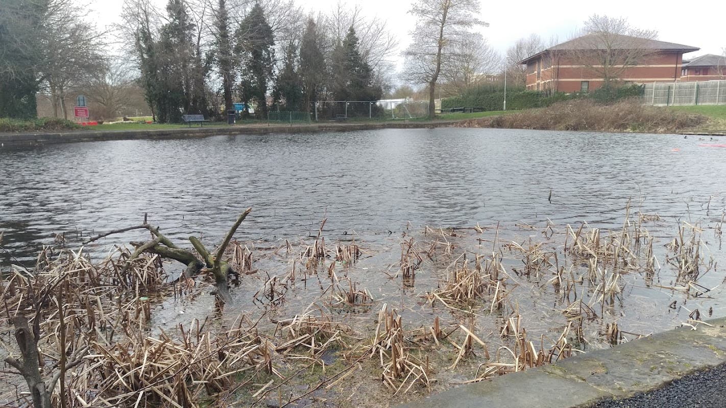 A tranquil pond surrounded by bare trees and reeds, with a building visible in the background under a cloudy sky.