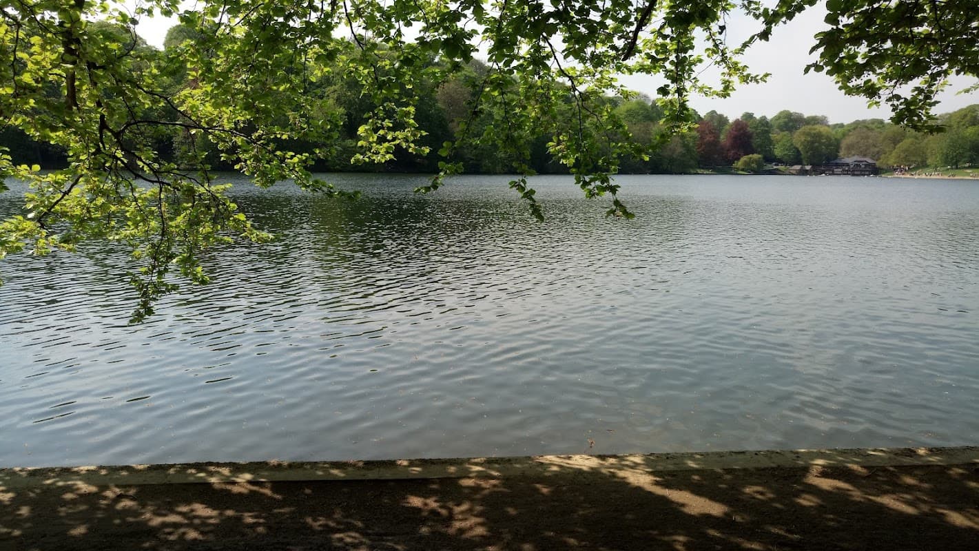Calm lake surrounded by greenery, reflecting trees and a clear sky, with a path along the water's edge.