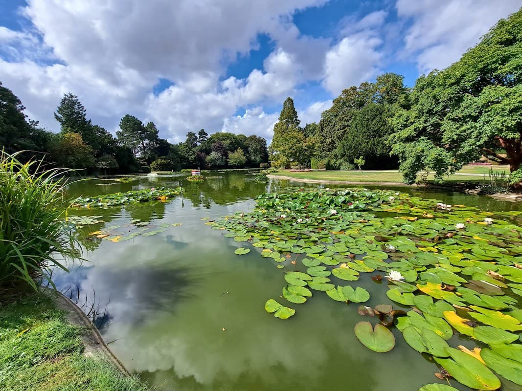 Lily pads float on a serene pond surrounded by lush greenery and trees under a partly cloudy sky.