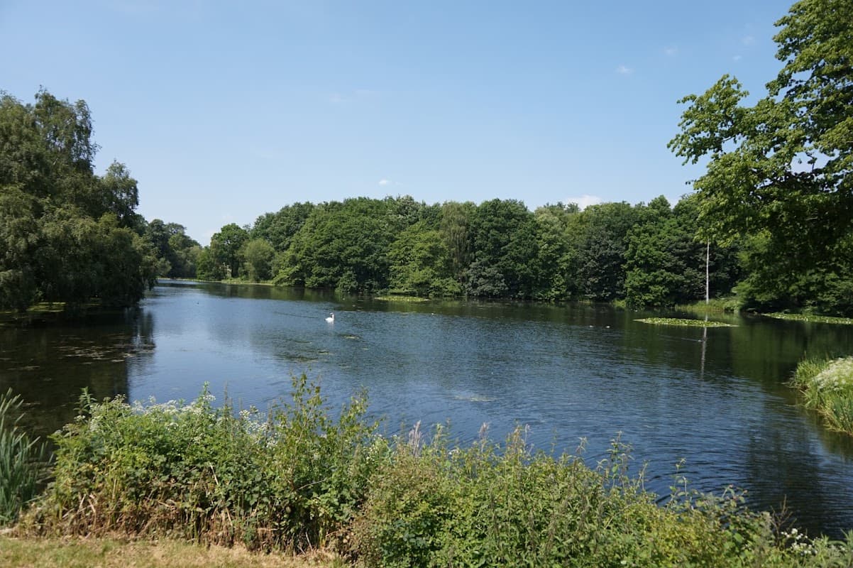 Serene lake surrounded by lush greenery and trees under a clear blue sky.