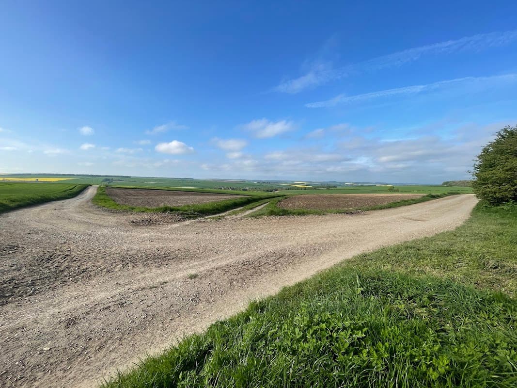A rural landscape with a forked dirt path, fields, and a clear blue sky in Kirby Grindalythe, Yorkshire.