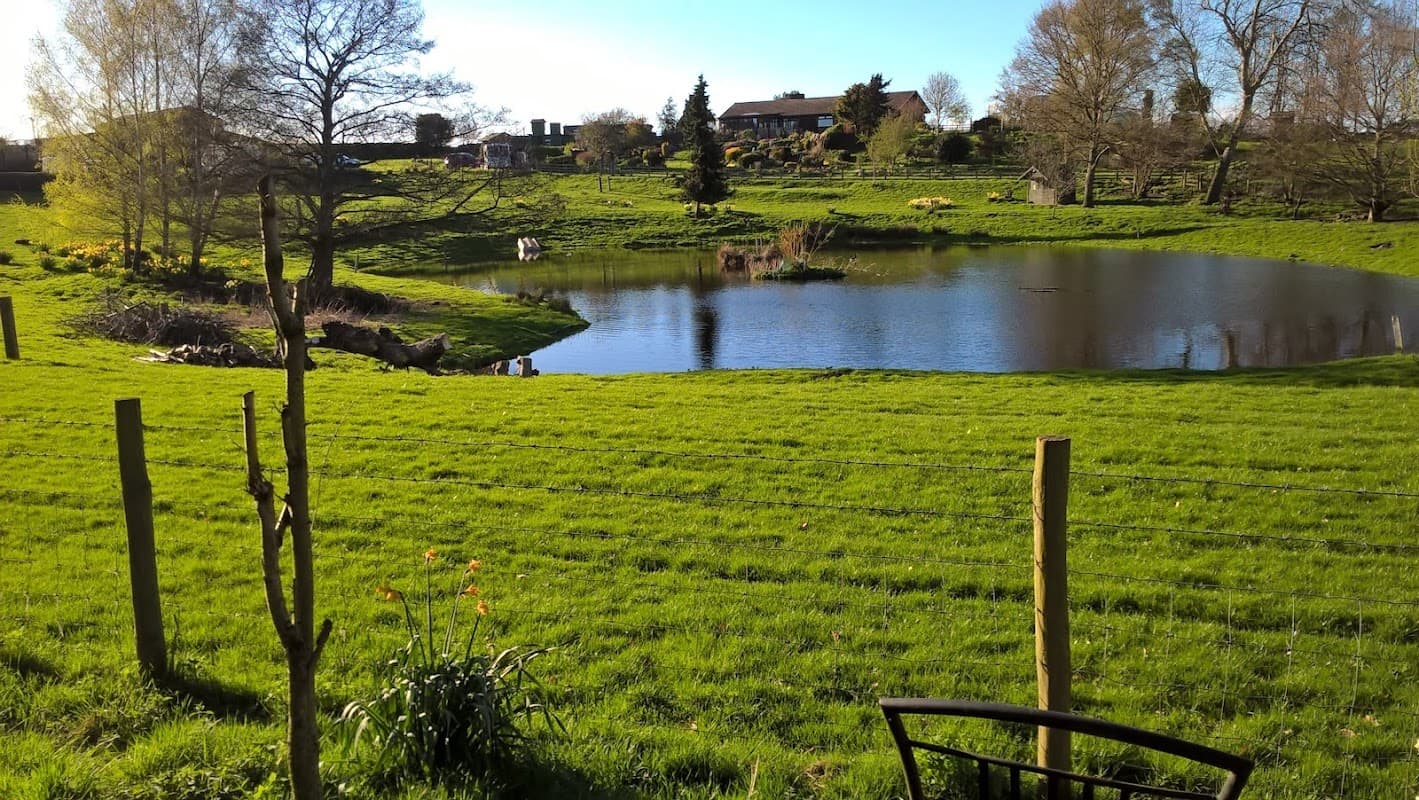 Lush green field with a pond, trees, and distant buildings under a clear blue sky at Heron's Pond Caravan Park.