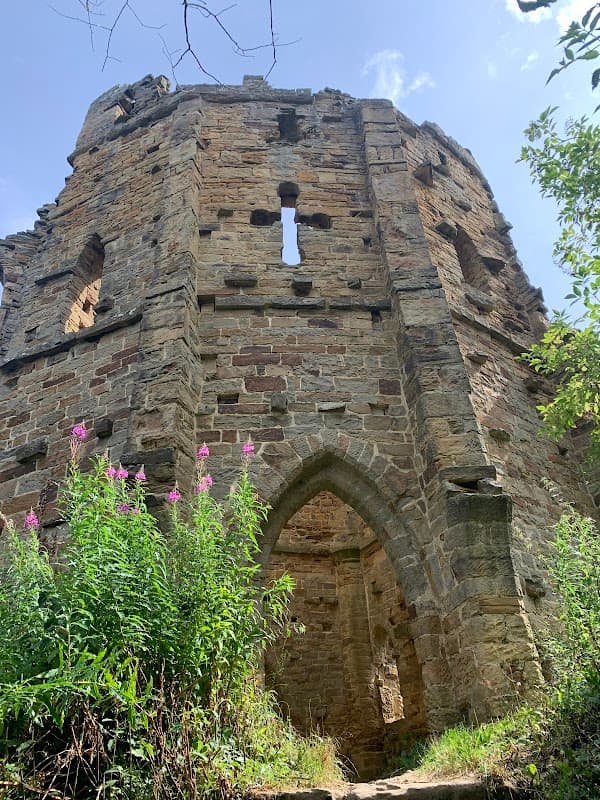 Ruins of a stone structure surrounded by greenery and wildflowers under a clear blue sky.