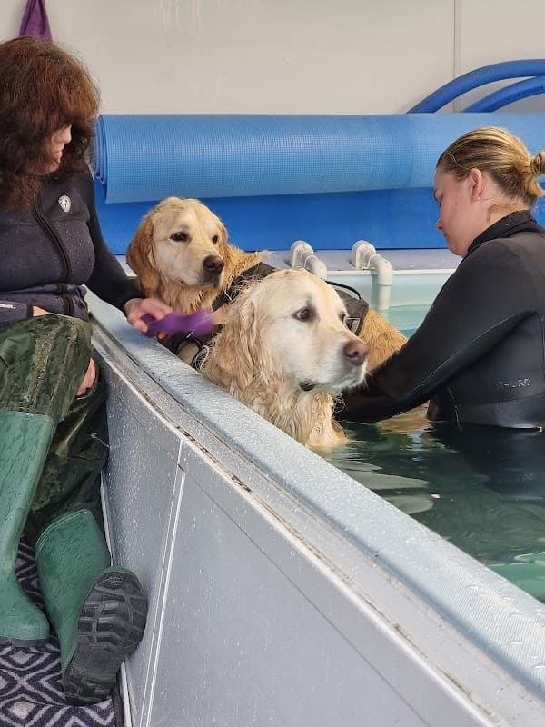 Black Dog Hydrotherapy - Vets in knaresborough