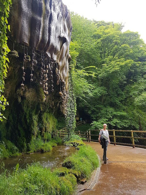 Bus Stop at Mother Shiptons - Bus Stops in knaresborough