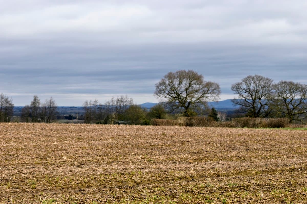 Gibbet Hill - Historic Site in knaresborough