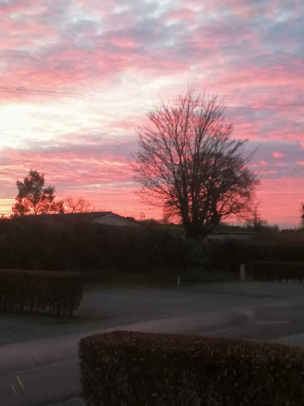 Accommodation at Scotton Holiday and Home Park in knaresborough