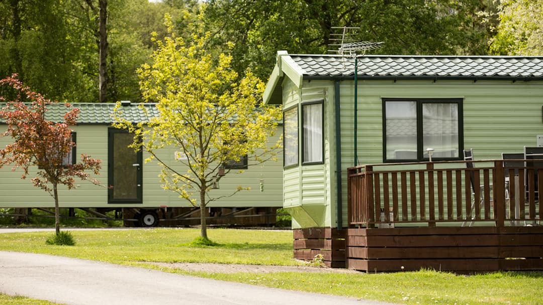 Green holiday cabins with wooden decks surrounded by trees and grassy pathways at Woodhouse Farm Holiday Park.