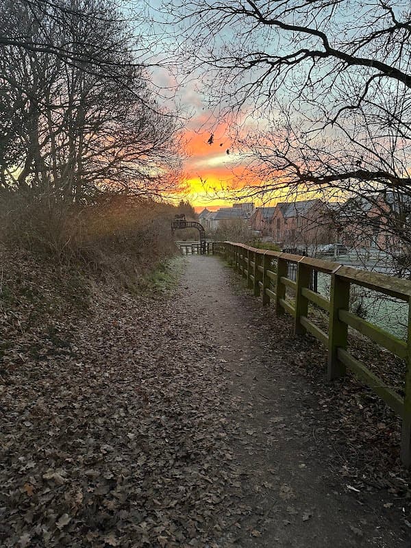 Sunset over a path lined with trees and fallen leaves, leading to a wooden fence and distant buildings in Kiln Park.