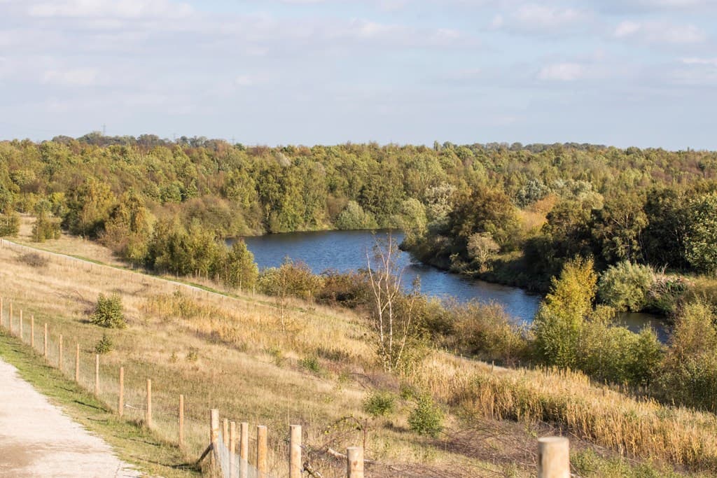 Lush green landscape with a winding river, surrounded by trees and a pathway lined with wooden fencing.