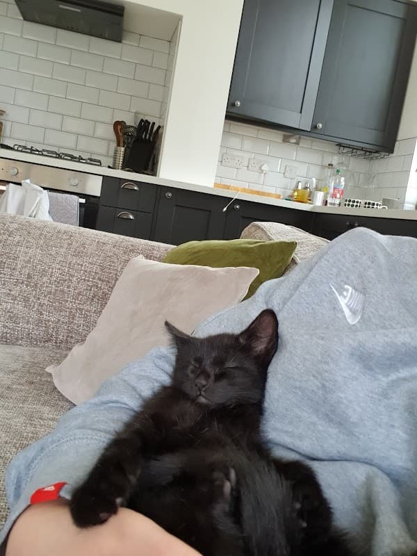 Mike Tree Interior Decorators - Painters & Decorators in leeds