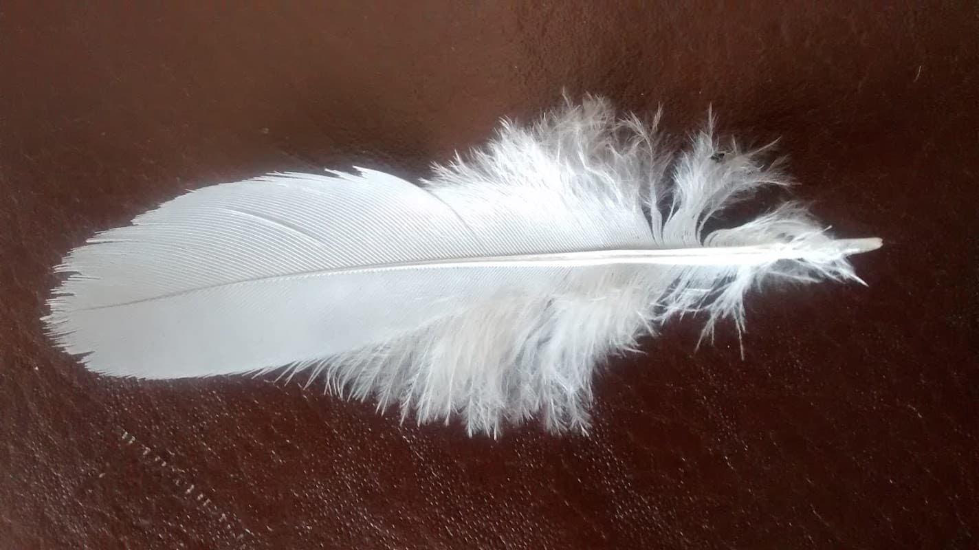 Tony Robinson Painter & Decorator - Painters & Decorators in leeds