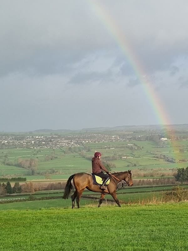 Middleham Racing Tours - Travel Agents in leyburn