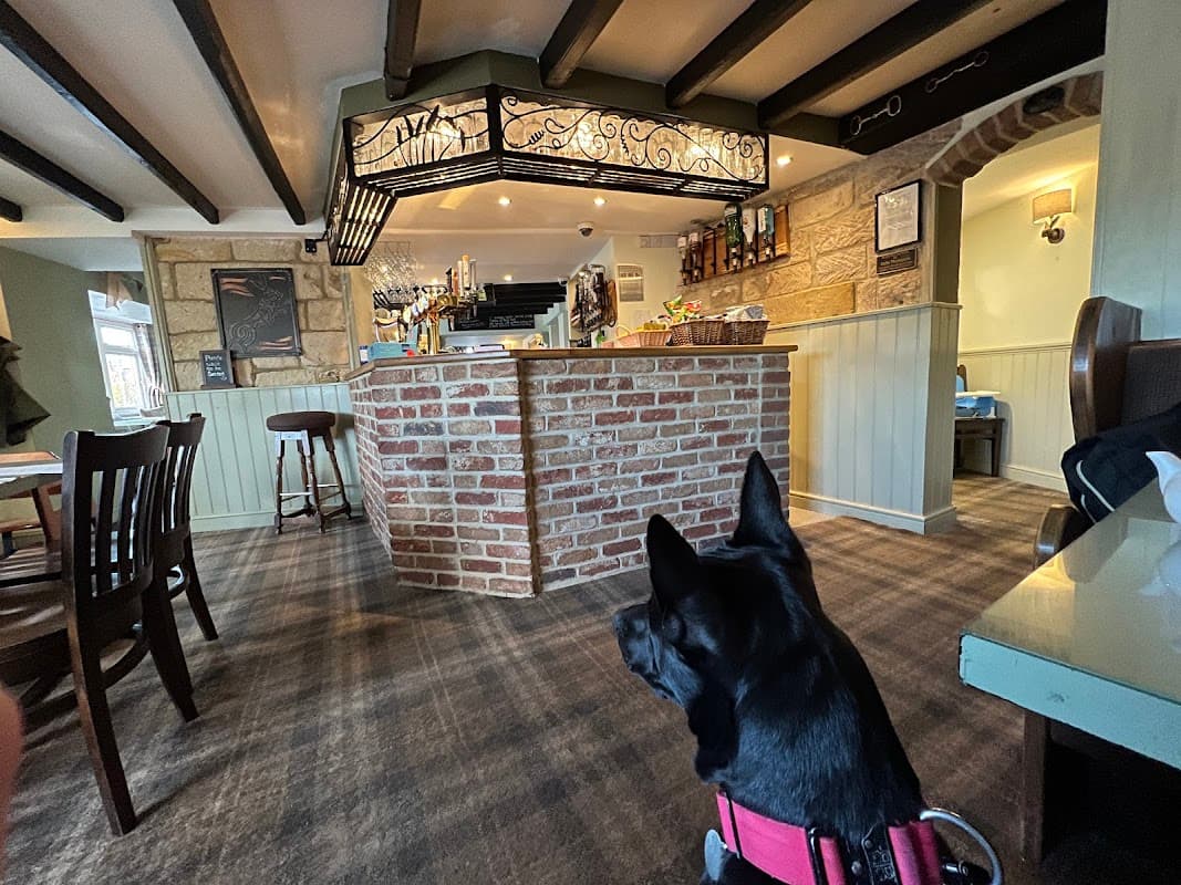 Cozy restaurant interior with wooden beams, a brick bar, and a black dog sitting in the foreground.