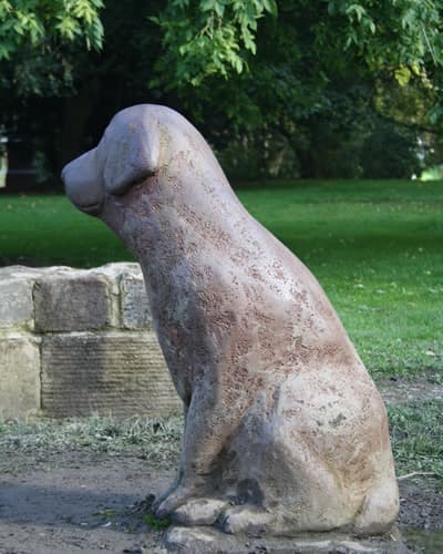 Lucky Dog of Todmorden - Garden in bradford