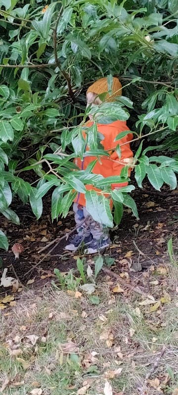 A child in an orange coat stands among lush green foliage in Luddendenfoot village park.