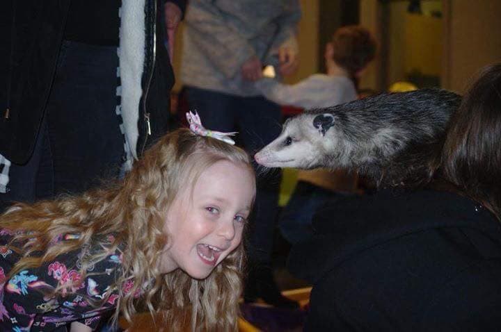 Animal Ark Travelling Zoo & Education Centre - Zoos in maltby