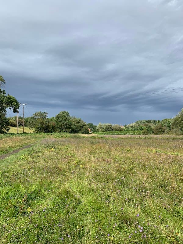 Expansive grassy field with wildflowers under a dramatic, cloudy sky at Maltby Low Common Nature Reserve.