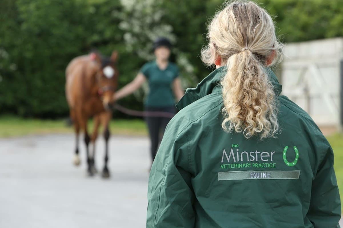 Minster Equine Practice, Malton - Vets in malton
