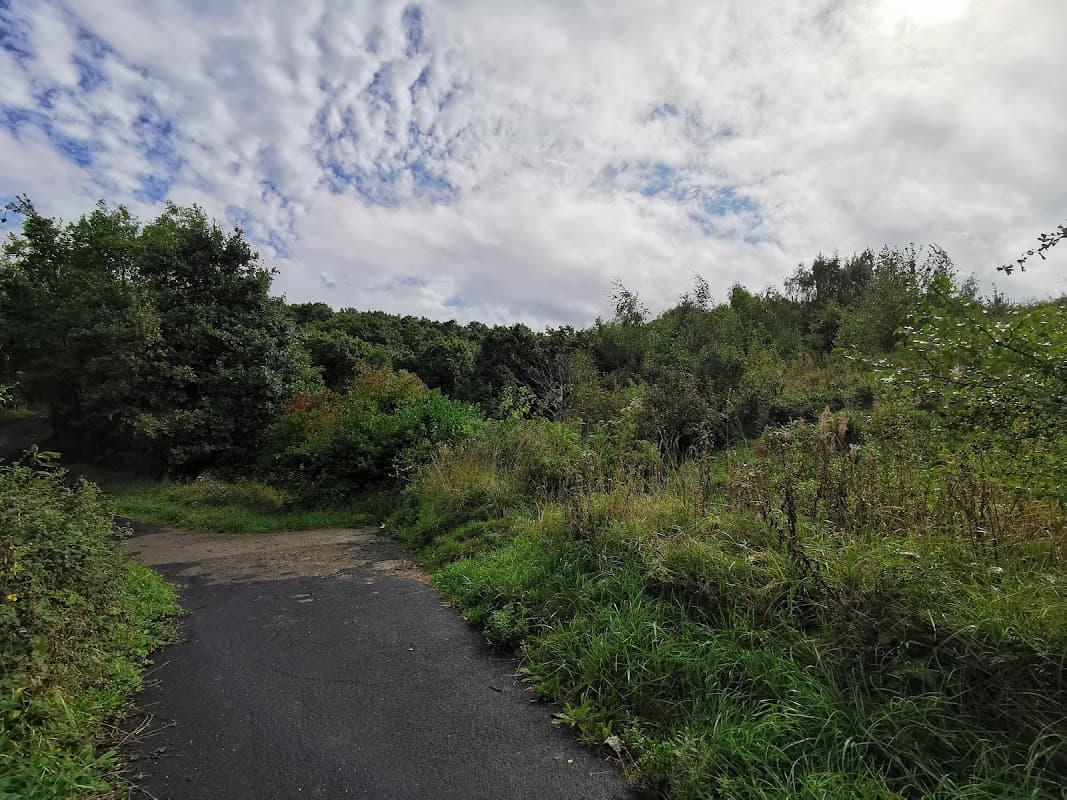 Lush greenery surrounds a winding path, under a cloudy sky in Manor Playing Fields, Yorkshire.