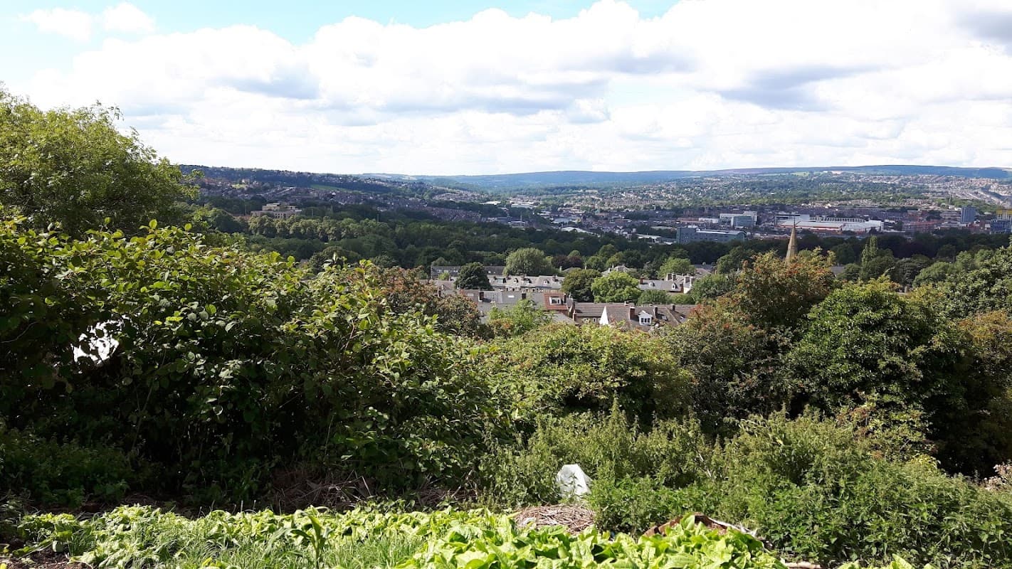 Lush greenery and allotments overlook a valley with distant hills and a town in Manor, Yorkshire.