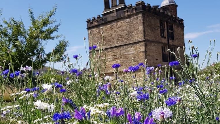 Historic Sheffield Manor Lodge surrounded by colorful wildflowers under a clear blue sky.