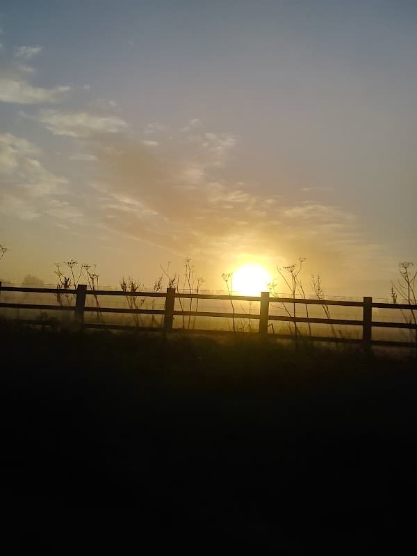 Bus Stop at Market Weighton Sancton Road - Bus Stops in market weighton