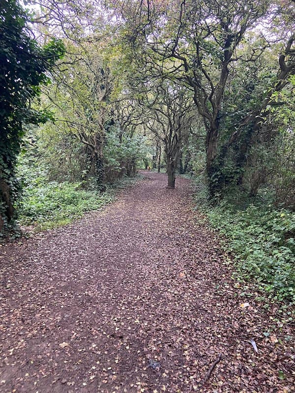 Beardmore Park - Park in marske