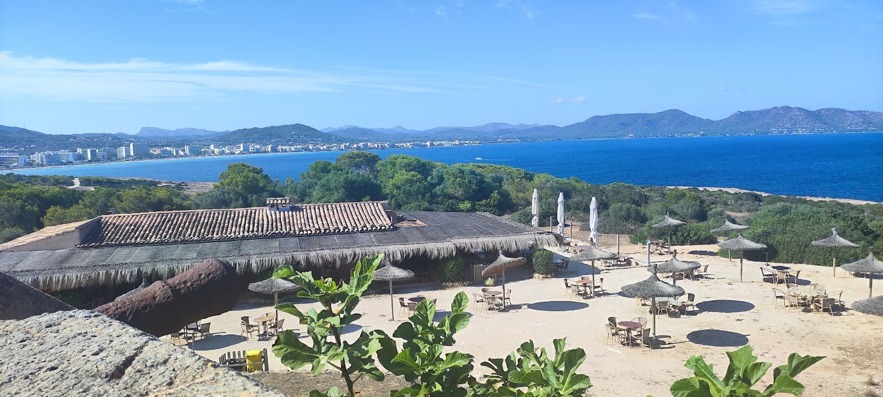 Pease Park - Playgrounds in marske