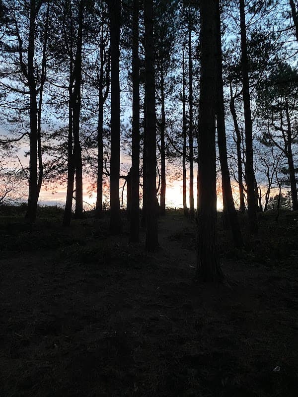 Top fields - Attraction in marske