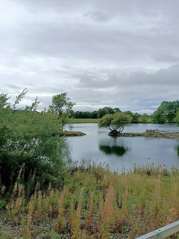Marfield Wetlands - Nature Reserves in masham