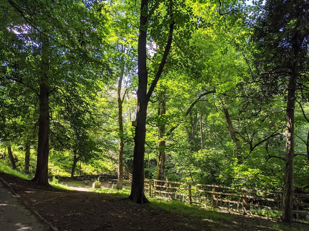 Lush green trees line a peaceful path near a stream, creating a serene atmosphere in Meltham Pleasure Grounds.