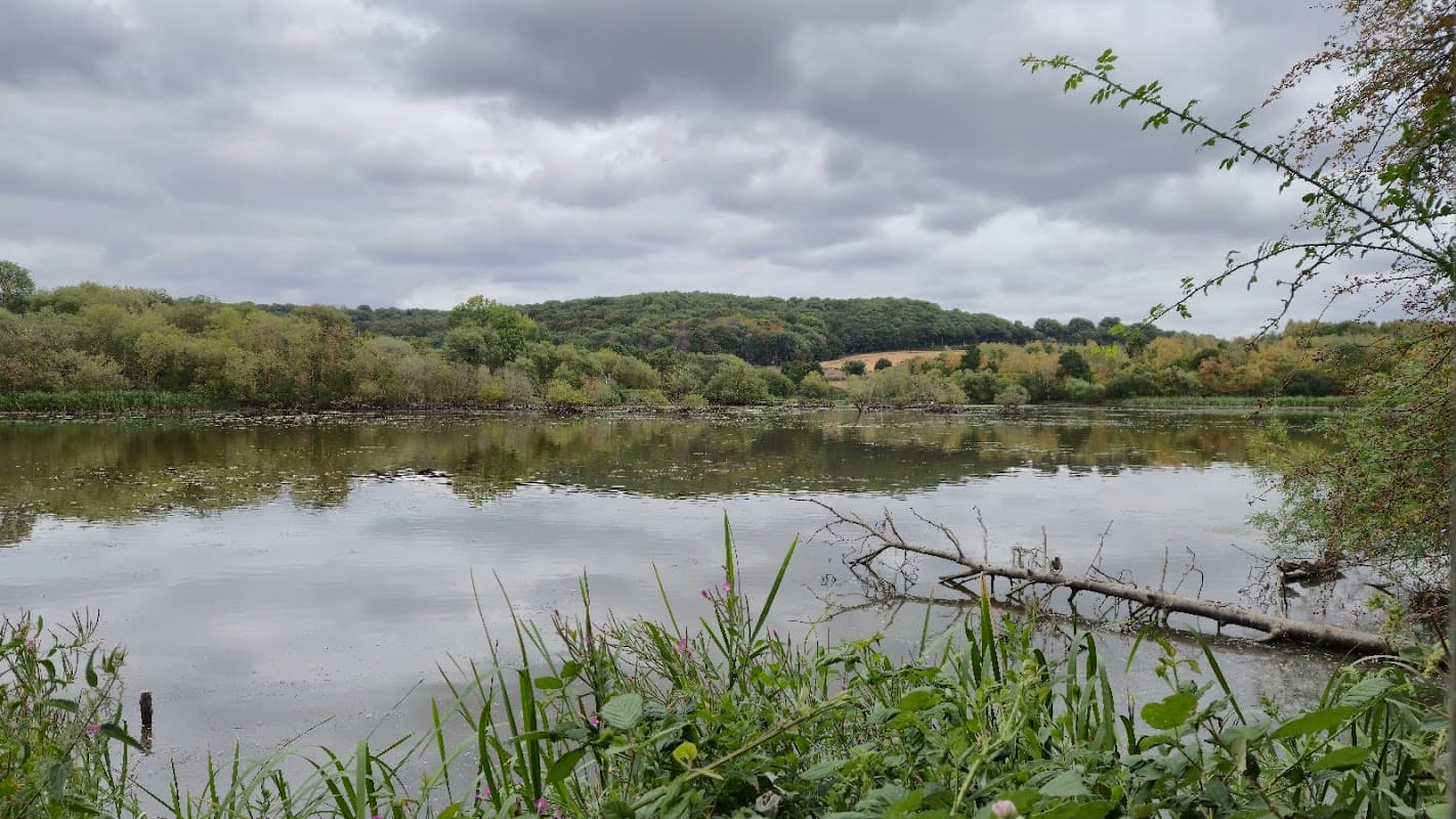 Denaby Ings Nature Reserve - Nature Reserves in mexborough