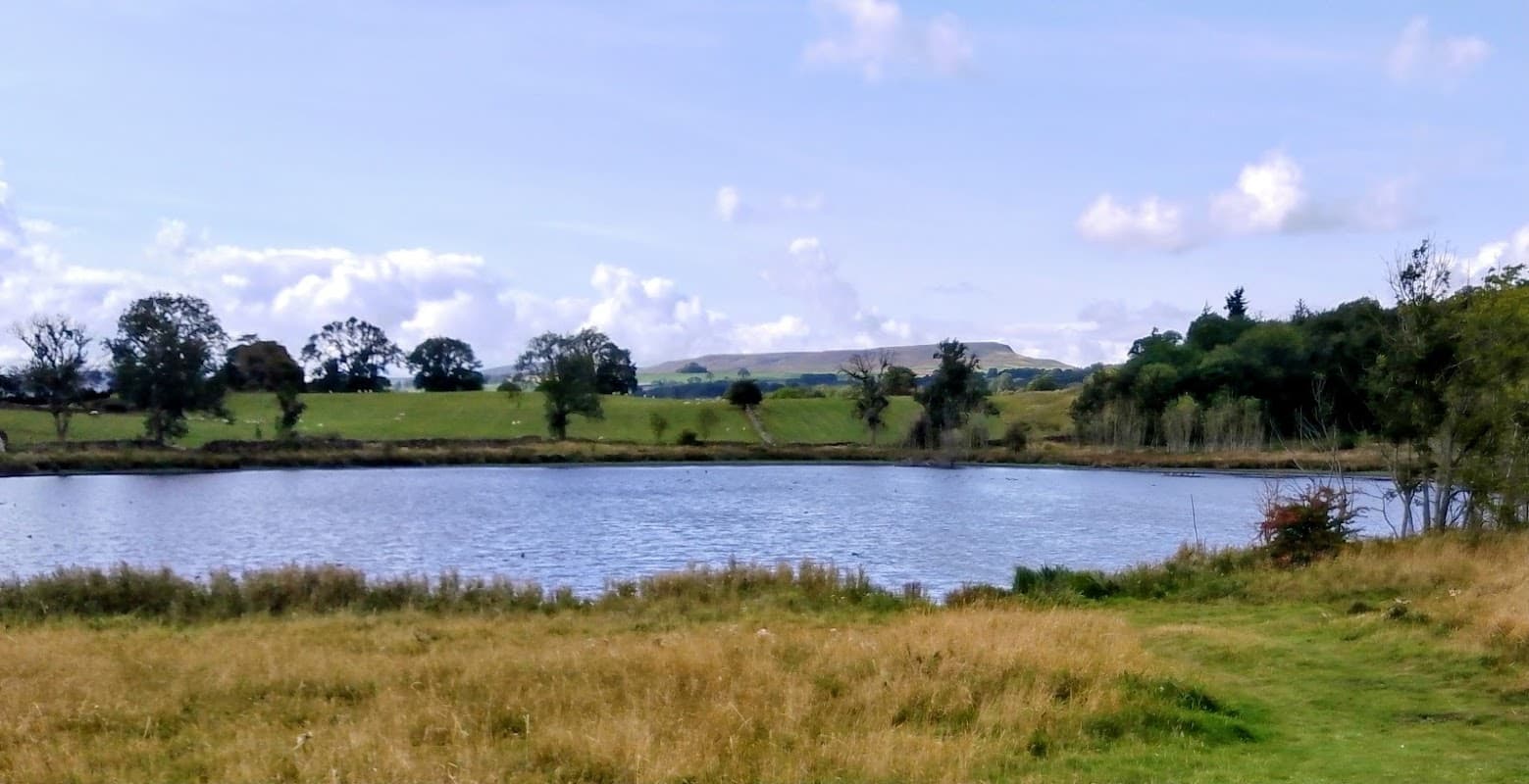 Serene pond surrounded by grassy banks and trees, with rolling hills in the background under a blue sky.