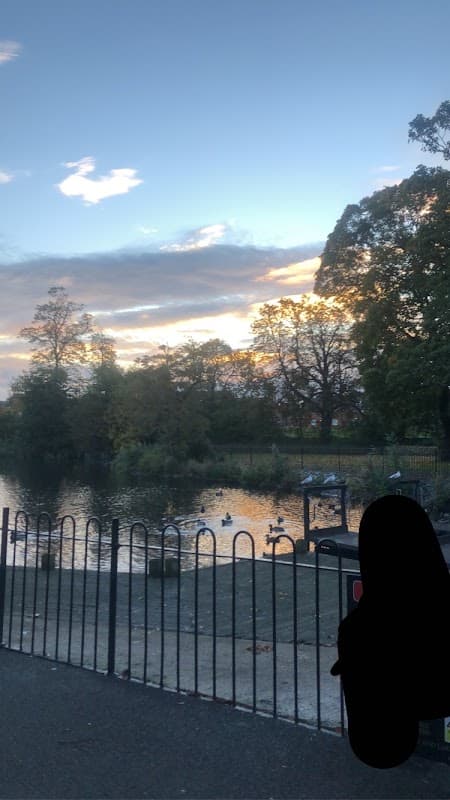 Serene park view with a pond, trees, and a colorful sunset reflecting on the water.