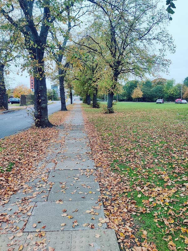 Clairville Common - Park in middlesbrough