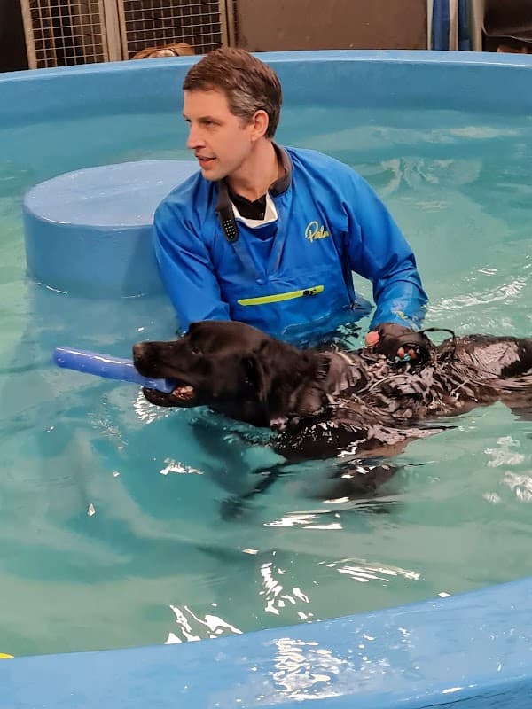 K 9 Fitness - Sports Venue in middlesbrough