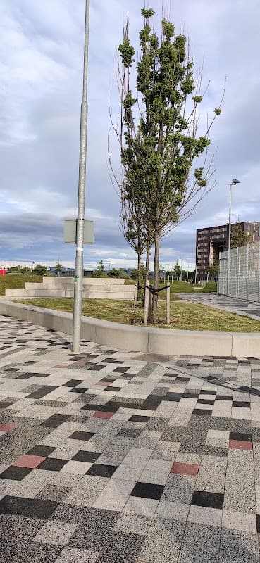 Paved car park area with a tree, light pole, and modern buildings in the background under a cloudy sky.