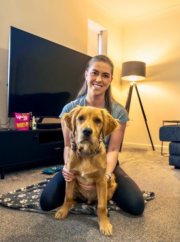 The Vet Pet Nurse - Vets in middlesbrough